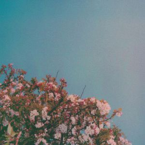 女女女女BBBBBB毛片漫画
